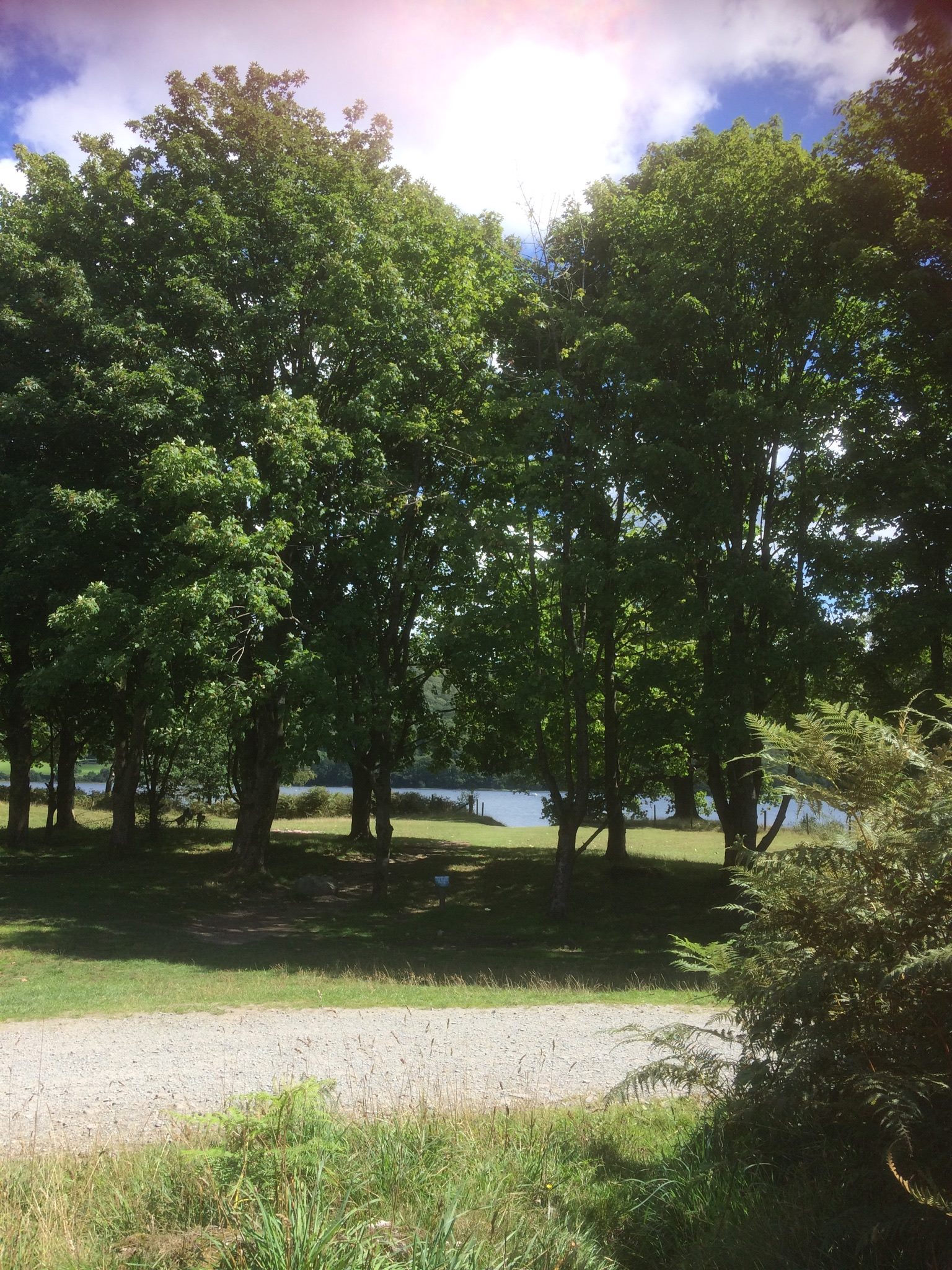 Coniston Hall Campsite in the Lake District, Cumbria